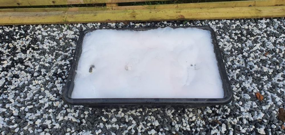 2019-09-28 17.17.08.jpg