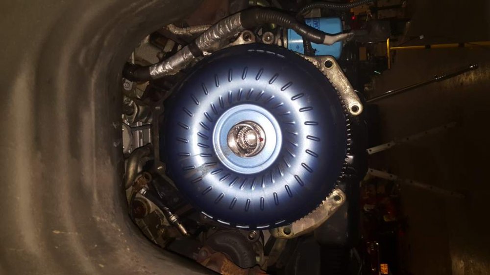 2016-12-31 15.00.03.jpg