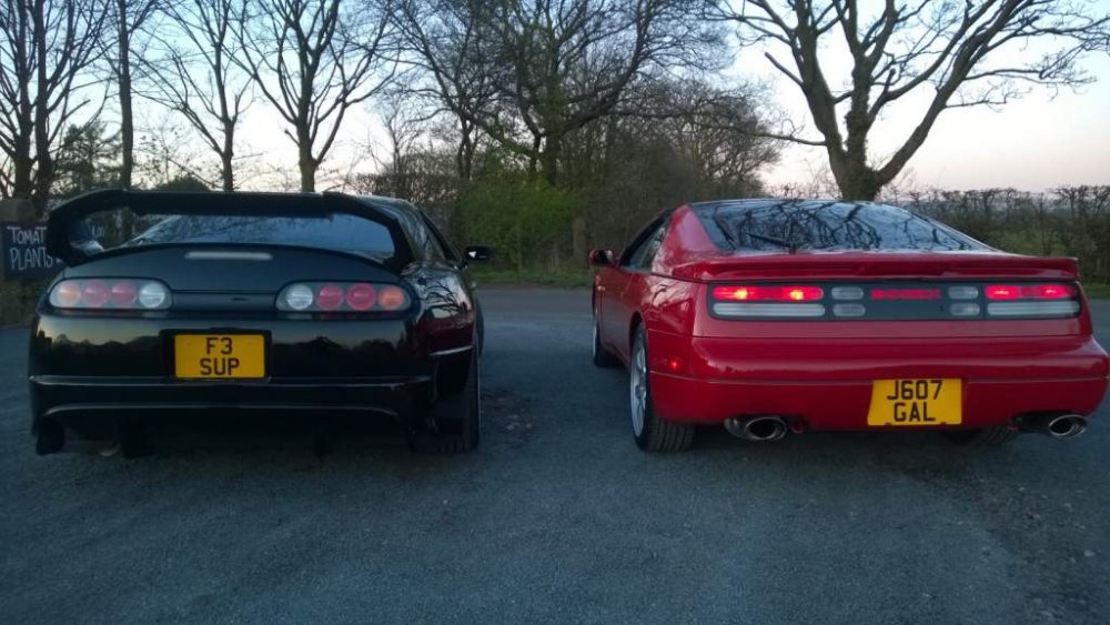 rear Z & Sup.jpg