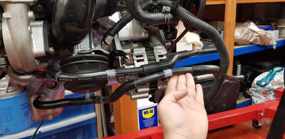 2018-10-09 18.37.35.jpg