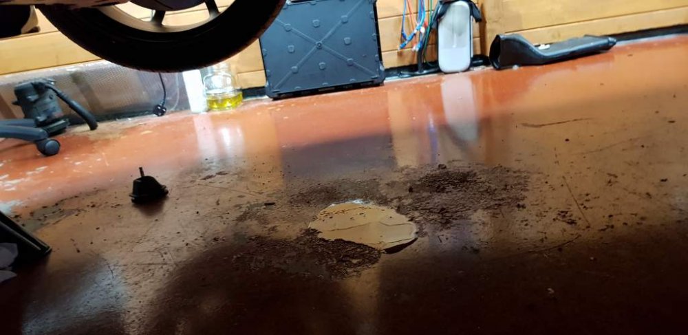 2018-11-08 16.24.04.jpg