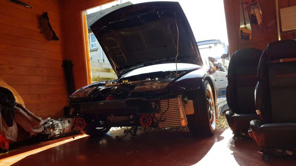 2018-03-24 13.24.15.jpg