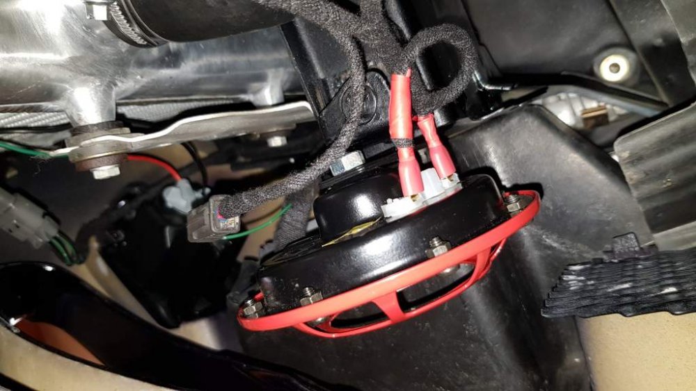 2018-08-27 12.58.12.jpg