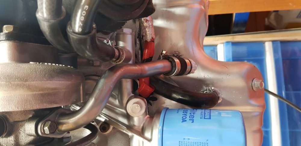 2018-10-10 19.58.35.jpg