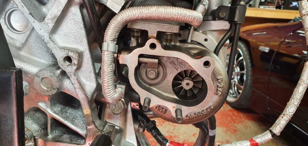 2019-09-28 14.02.47.jpg