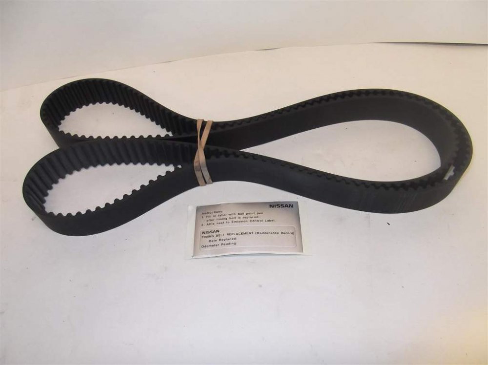 DSCF6540 (Large).jpg