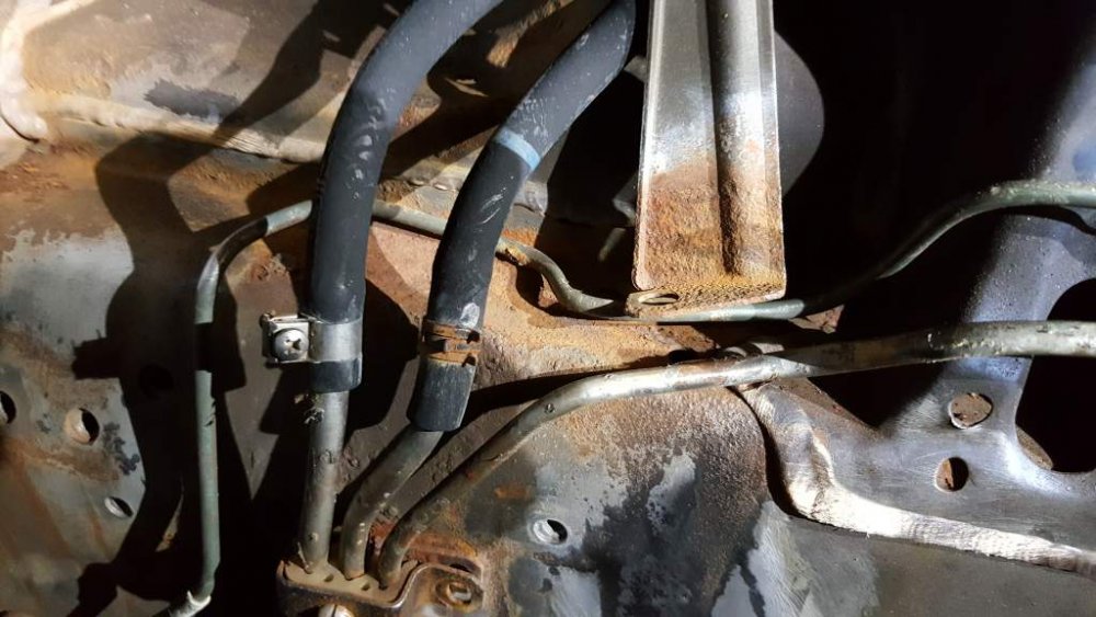 2017-02-11 13.18.11.jpg