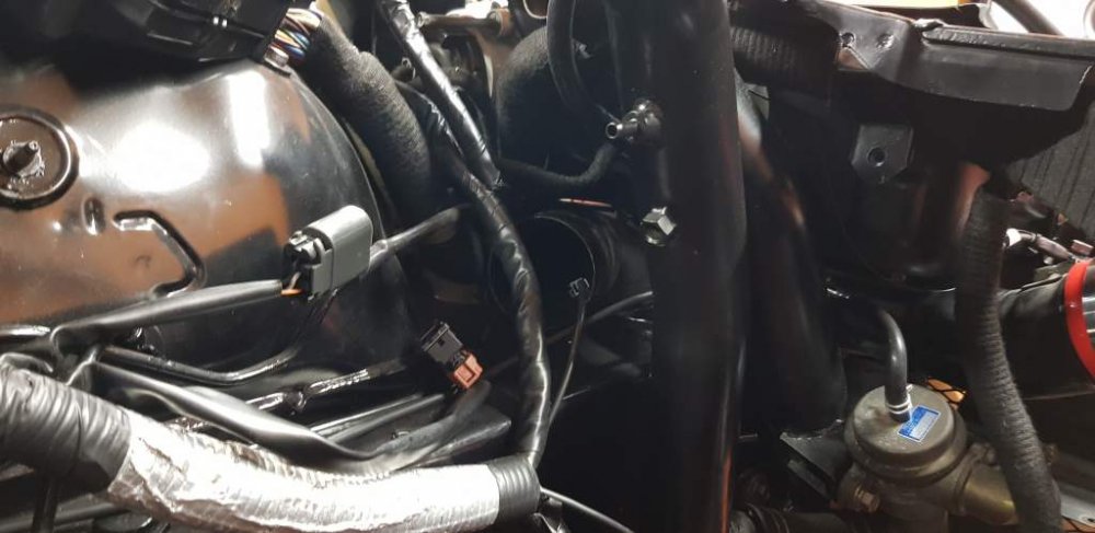 2019-08-19 16.13.11.jpg