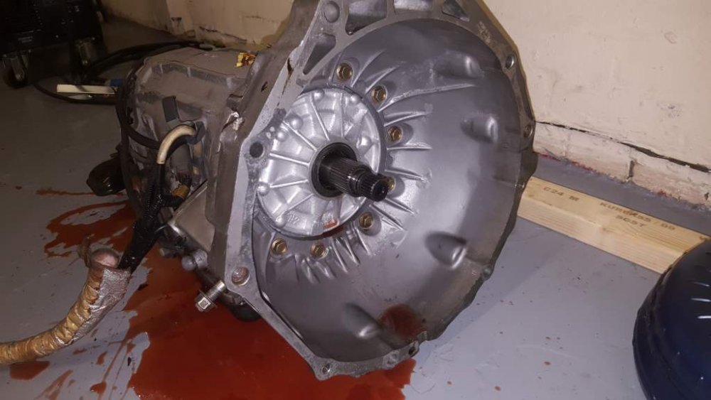 2016-12-31 15.19.21.jpg