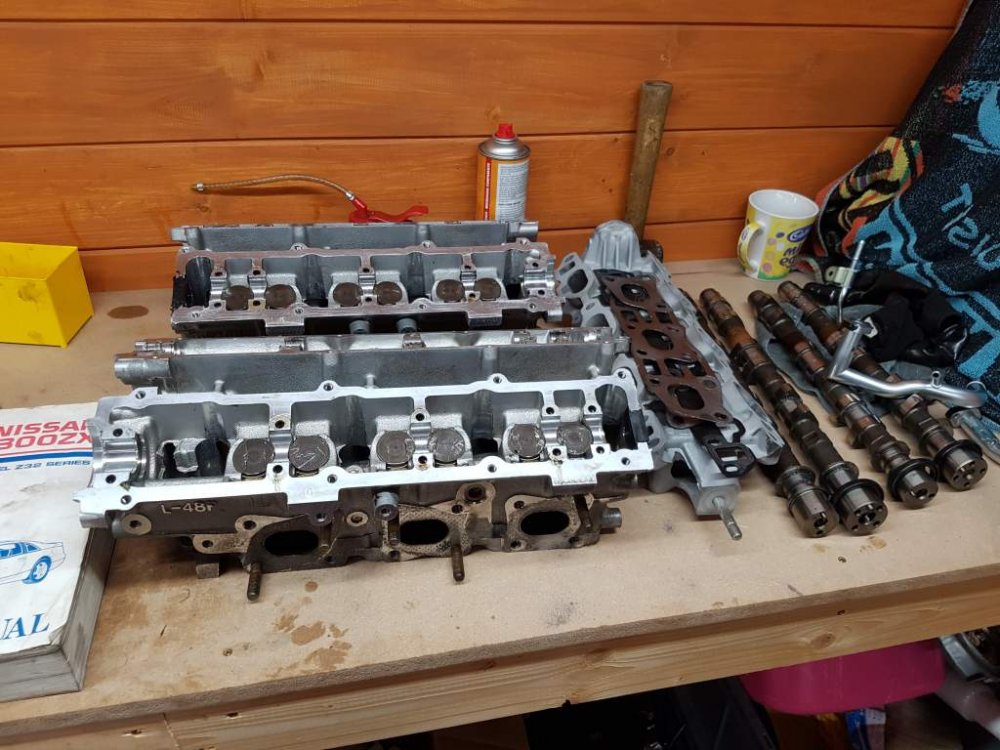 2017-09-04 18.51.27.jpg