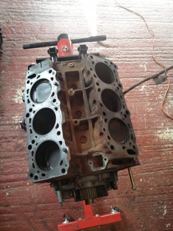 IMG_20160701_173044 (1).jpg