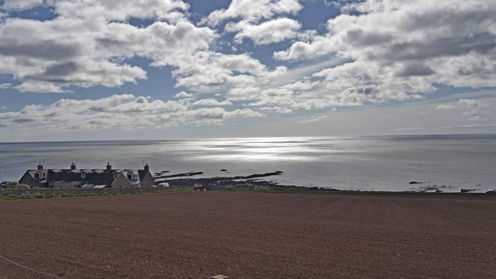 2017-04-15 10.59.51.jpg