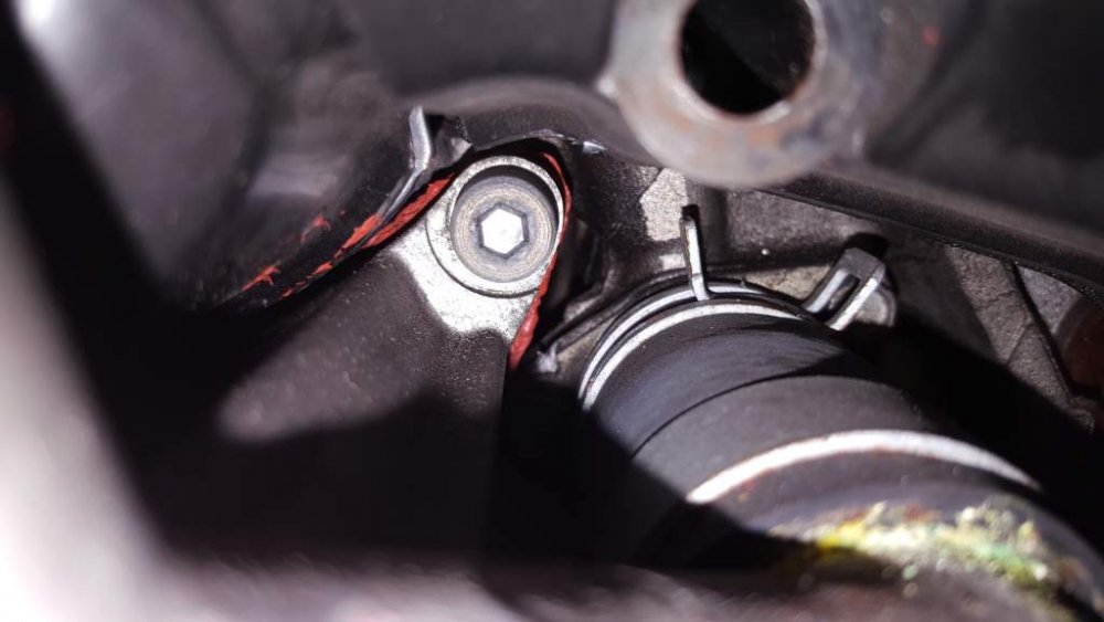 2017-03-21 15.29.19.jpg