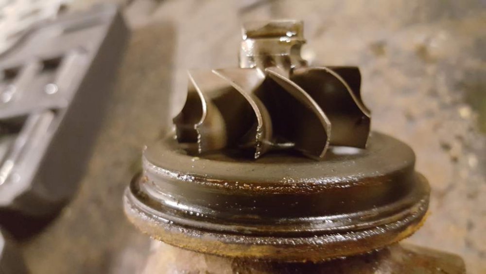 2017-04-29 14.40.21.jpg