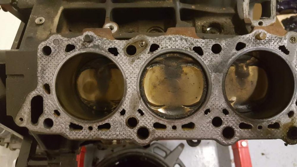 2017-05-13 14.23.42.jpg