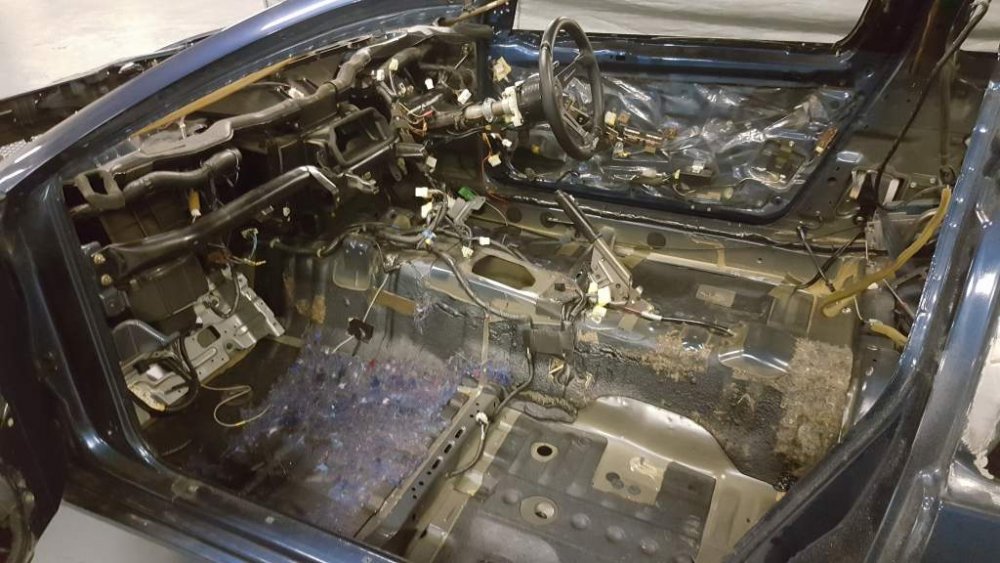 2017-03-19 13.33.07.jpg