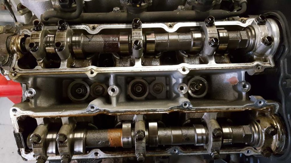 2017-03-25 13.36.31.jpg