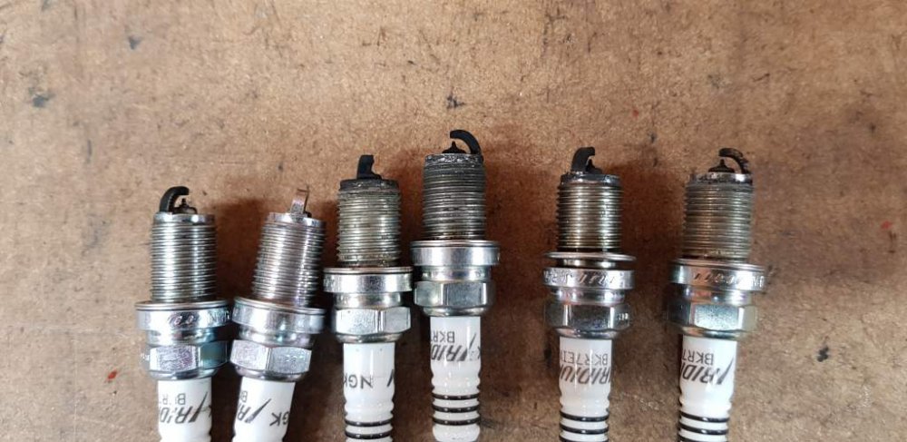 2019-02-17 13.31.56.jpg