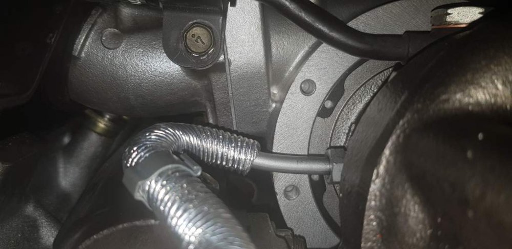 2018-11-24 12.17.23.jpg