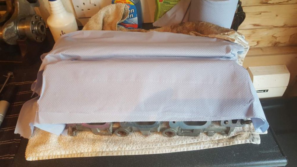 2017-06-20 20.07.44.jpg