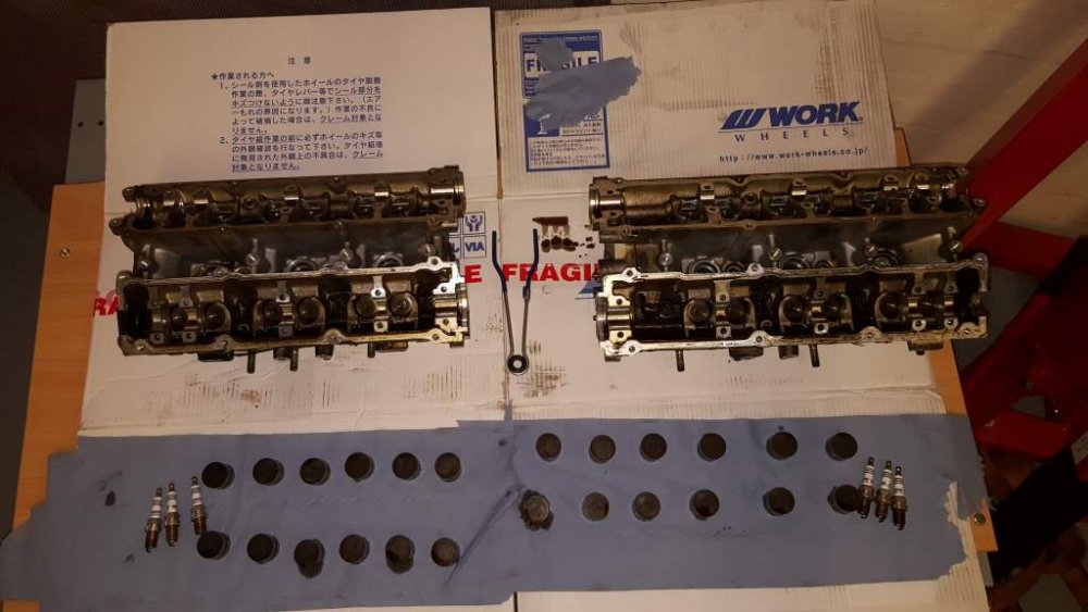 2017-05-14 16.28.24.jpg