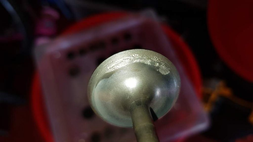 2018-07-01 14.58.45.jpg