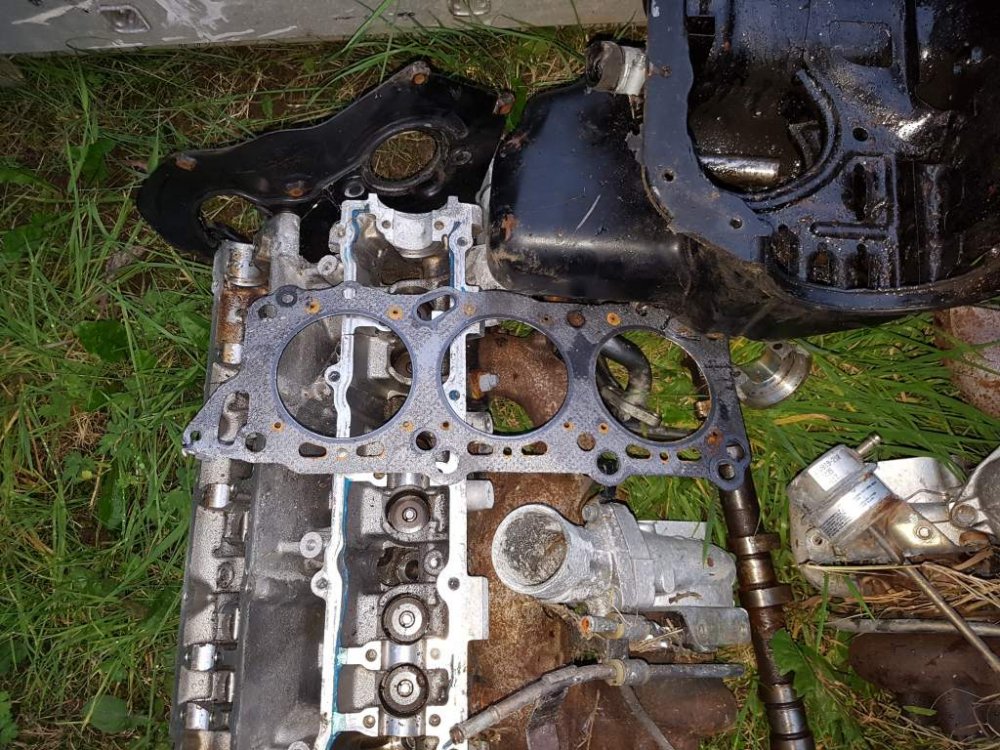 2017-09-06 19.33.40.jpg