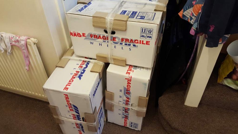 2016-01-19 13.55.09.jpg