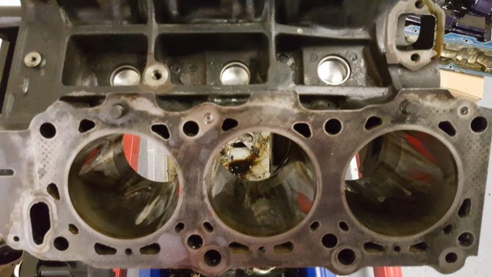 2017-05-18 15.06.25.jpg