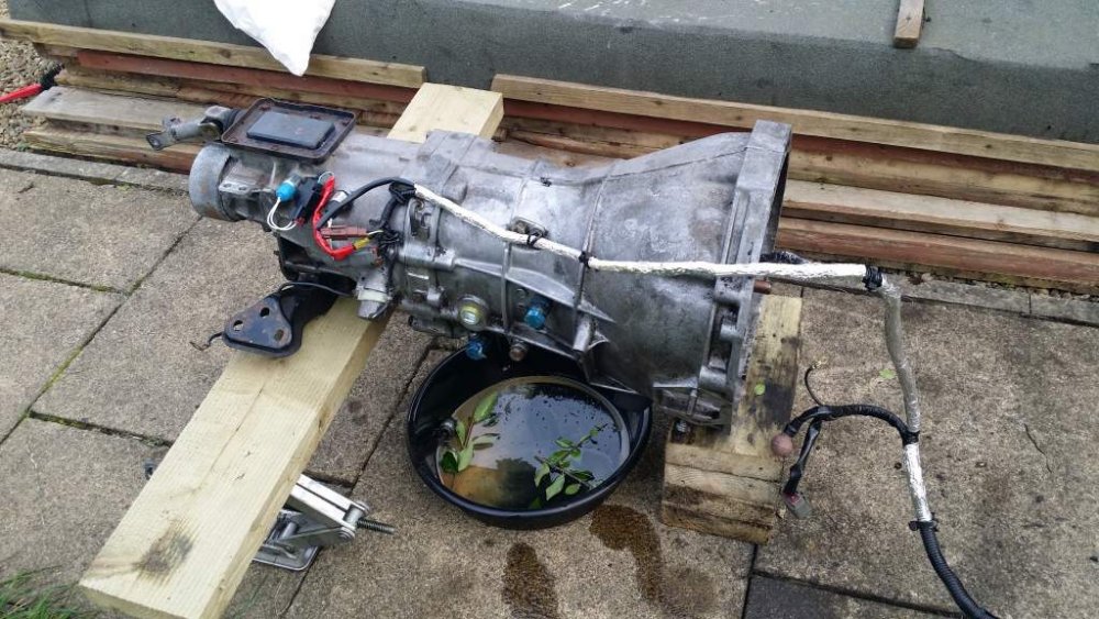 2015-10-20 16.24.33-720.jpg