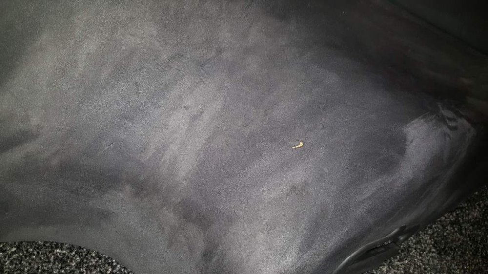 2016-01-26 19.01.42.jpg