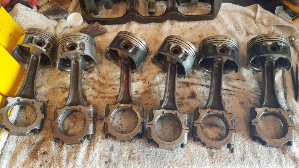 2017-05-27 16.05.35.jpg