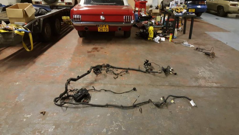 2017-01-22 16.20.55.jpg