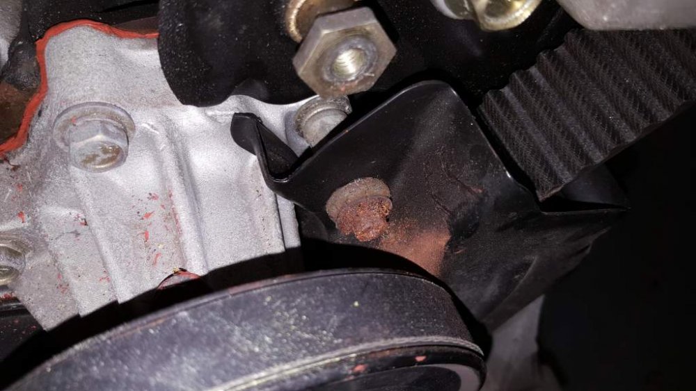 2017-03-25 13.35.32.jpg