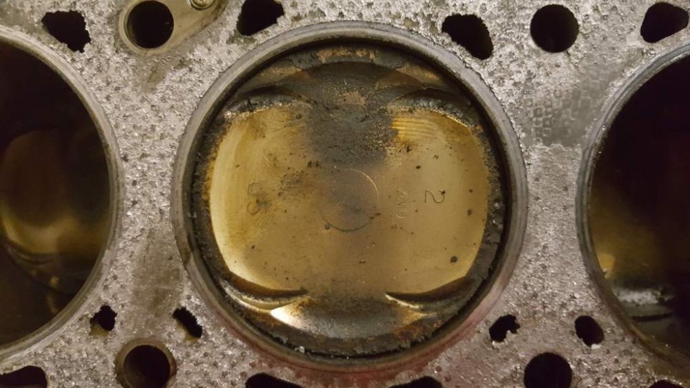 2017-05-13 14.24.19.jpg