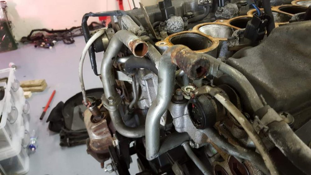 2017-03-21 14.40.37.jpg