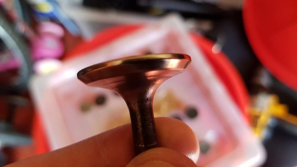 2018-07-01 14.59.28.jpg