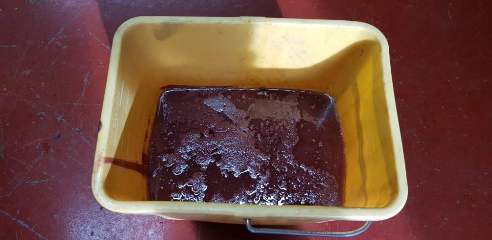 2019-02-24 13.21.21.jpg