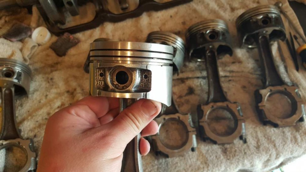 2017-05-27 16.06.05.jpg