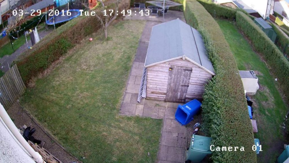 Back Door_1459273782.jpg