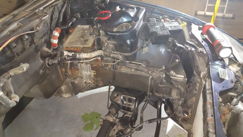 2017-01-01 16.54.38.jpg