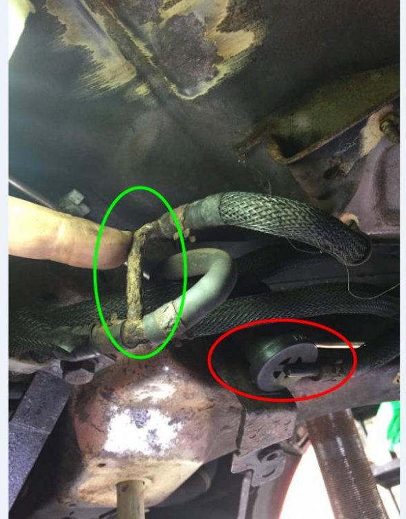 Zed Fuel Y section.jpg