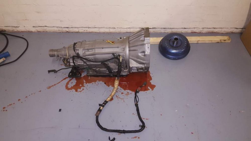 2016-12-31 15.19.08.jpg