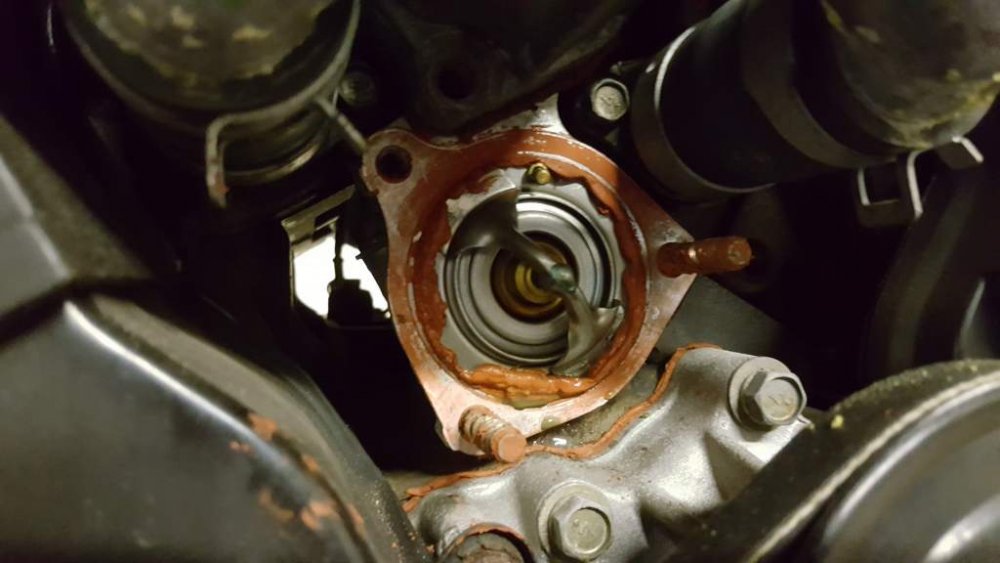 2017-03-21 15.29.33.jpg