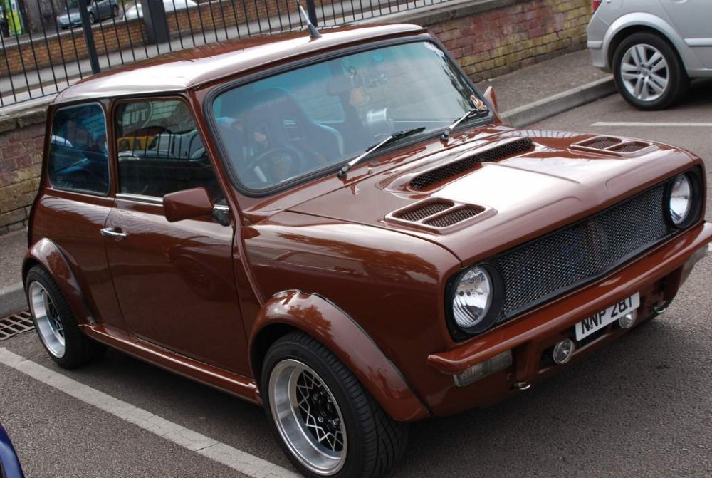 brown mini.jpg