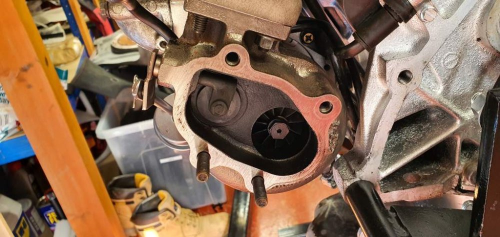 2019-09-28 14.03.03.jpg