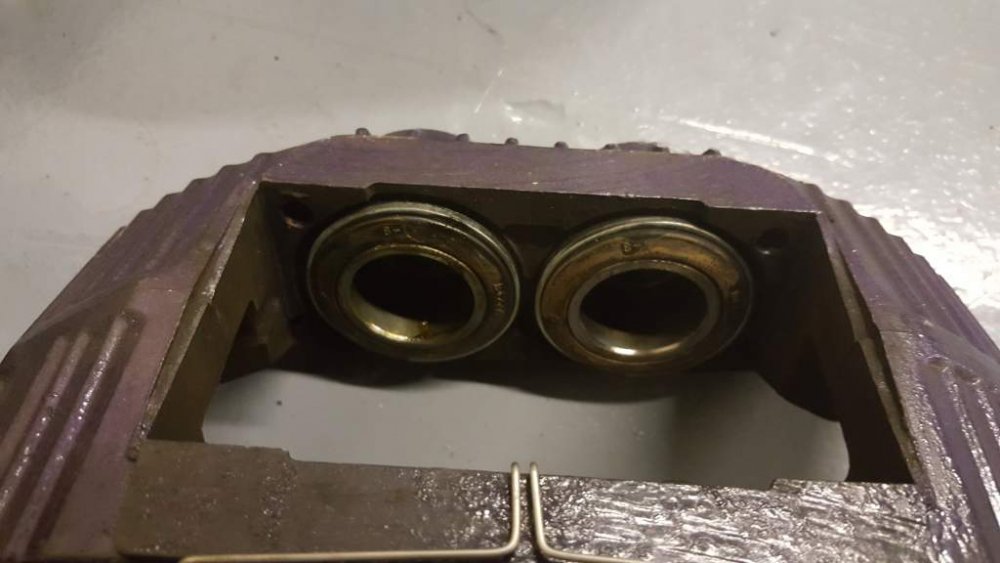 2017-03-06 17.07.46.jpg