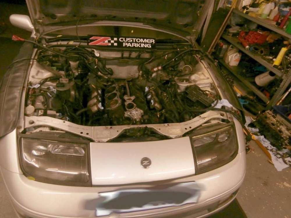 both heads removed.jpg