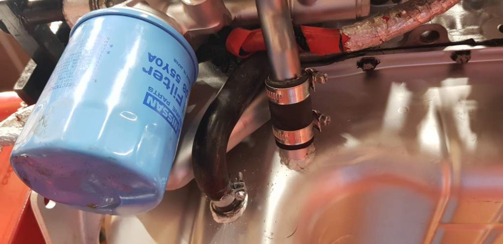 2018-10-10 19.59.05.jpg