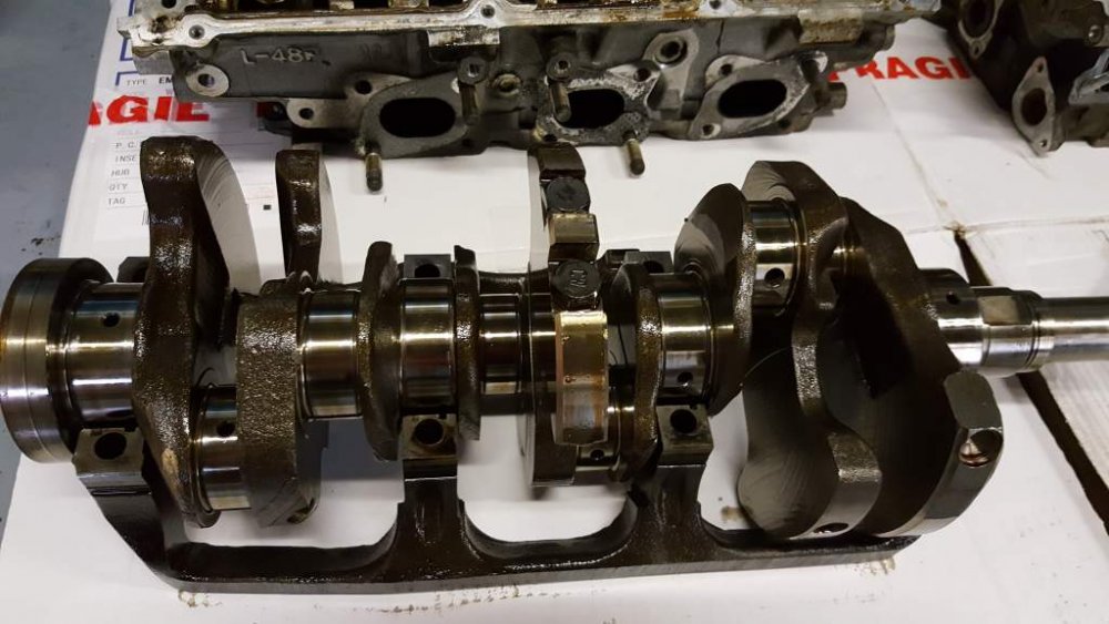 2017-05-18 15.06.00.jpg